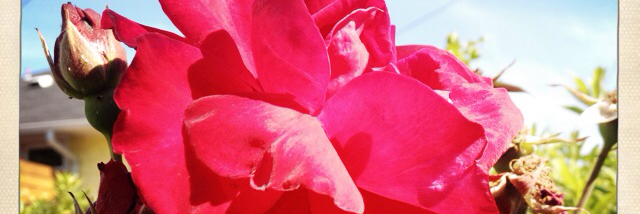 Cover image for post Untitled, by JeffStewart