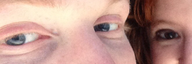 Cover image for post Crafty Thief, by just_leigha