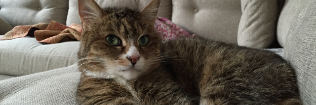 Cover image for post Checklist, by rickmoss