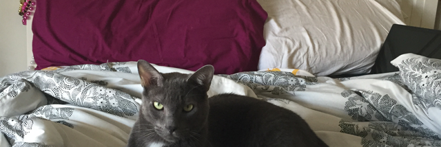 Cover image for post Untitled, by tarajohnson1656