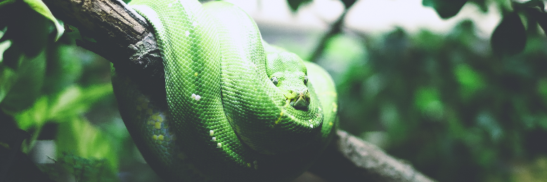 Cover image for post Farewell "Friend", by BriannaKathleen