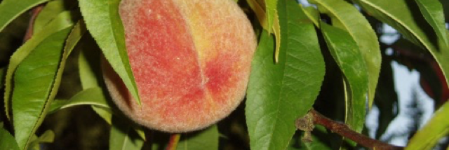 Cover image for post you and I will learn our lesson, by unspecific