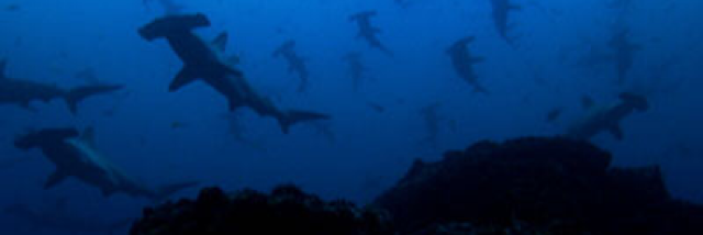 Cover image for post Adventure, by C