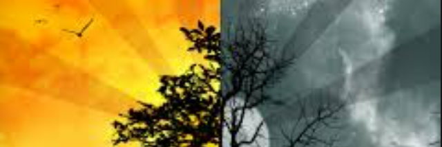 Cover image for post Situation, by Im1of1