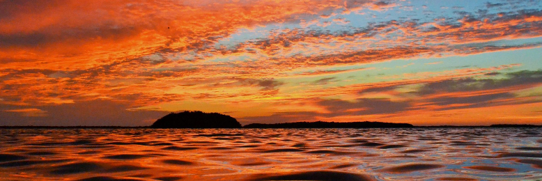 Cover image for post God Opened His Hands, by sandflea68