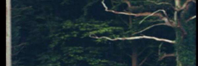 Cover image for post One of my favorite quotes., by Tereza