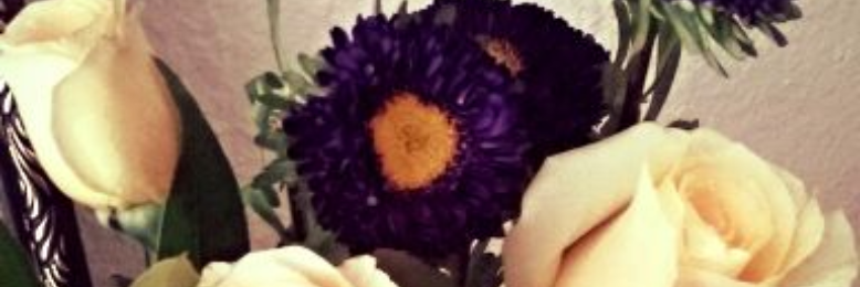 Cover image for post Brother, by Featherywolf