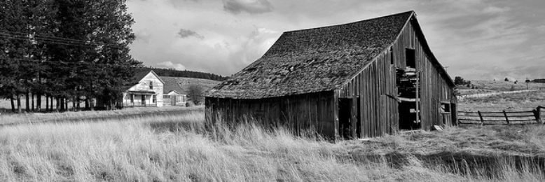 Cover image for post Buried Child, by sarah_spunda