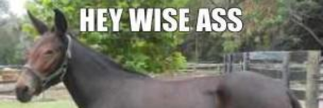 Cover image for post Sonia, by Soniaowilliams