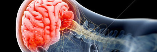 Cover image for post Heightened, by WS