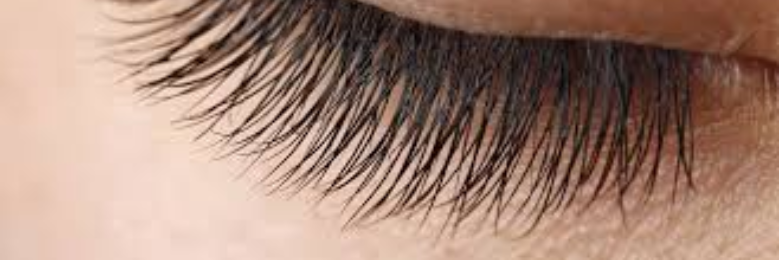 Cover image for post Eyelid Curtains, by sandflea68