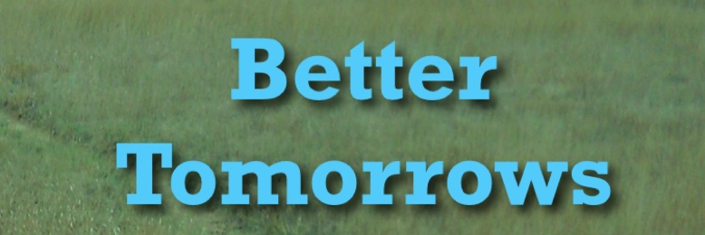 Cover image for post The Black Flowers, by RobertCollins