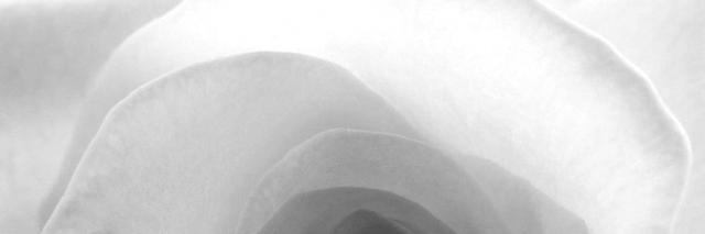 Cover image for post Perhaps, by ACFernandez