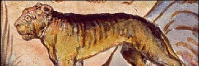 Cover image for post The Red Dragon Provocateur, by Schrieben_Wulf