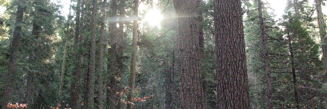 Cover image for post Advisory, by Schrieben_Wulf