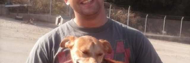 Cover image for post Leo, by Schrieben_Wulf