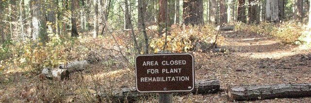 Cover image for post Silence, by Schrieben_Wulf