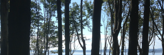 Cover image for post Untitled, by SherlockAt221B