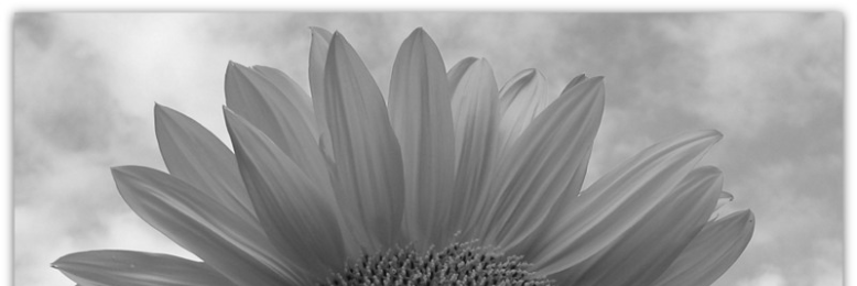 Cover image for post Xanthous, by nfaulk6