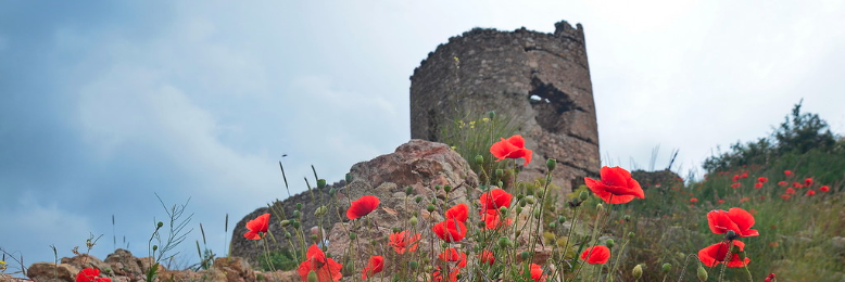 Cover image for post Untitled, by Lamara