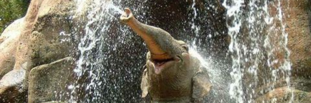 Cover image for post S.A.T.C.I.T.A.N.A.N.D.A., by A