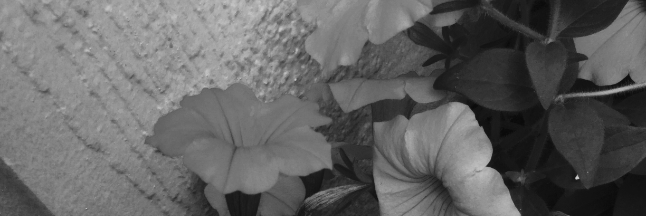 Cover image for post Nameless 1., by stormshine