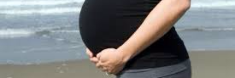 Cover image for post Seed, by sandflea68