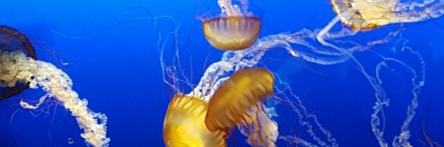 Cover image for post Obsessive, by LMSteiner