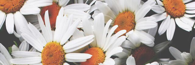 Cover image for post Eleven, by AlexisZapzalka