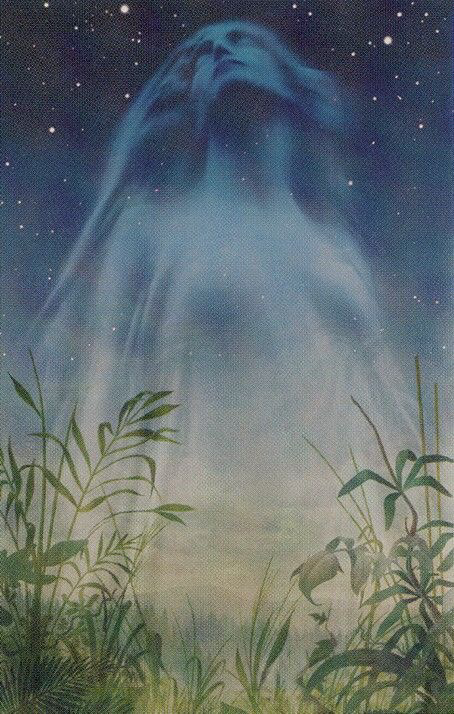 Cover image for post Lost, by Vyxyn