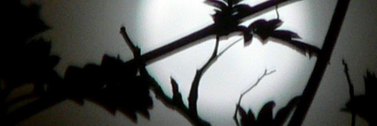 Cover image for post The Art Of Mentality, by HopeMartin