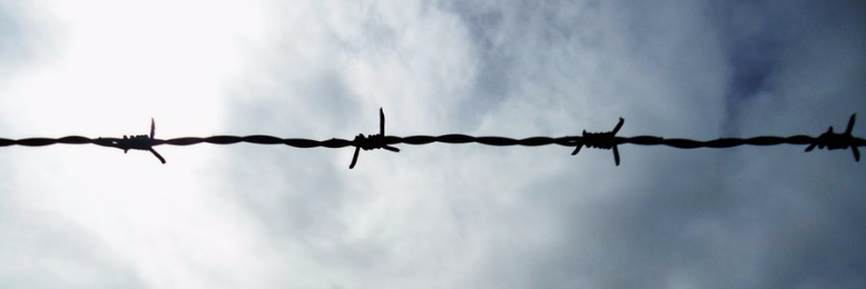 Cover image for post Life's Prisoners, by Limien