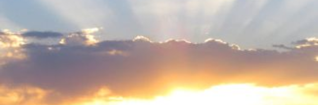 Cover image for post Prose #13, by DT