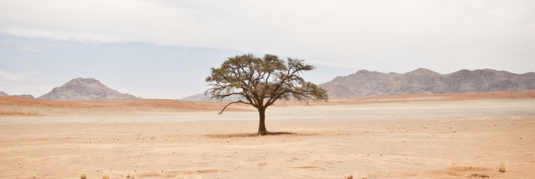 Cover image for post You., by elizapearl