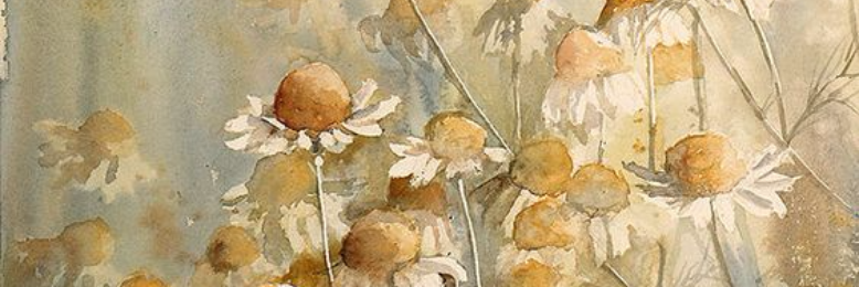 Cover image for post Chamomile King, by OfTheLight