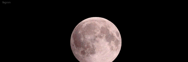 Cover image for post Apologies, by AlexisZapzalka