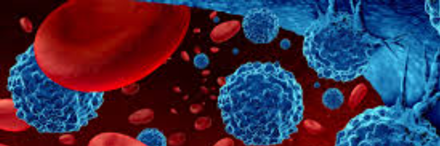 Cover image for post Hematologic Malignancies Therapeutics Market Size, Segmentation Analysis, Key Developments, Scope of Report, Region 2023-2032
, by leeortega