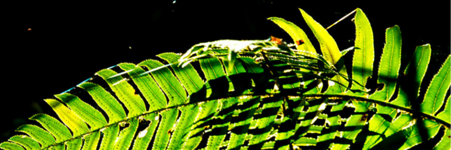 Cover image for post The U Turn 00:18, by U