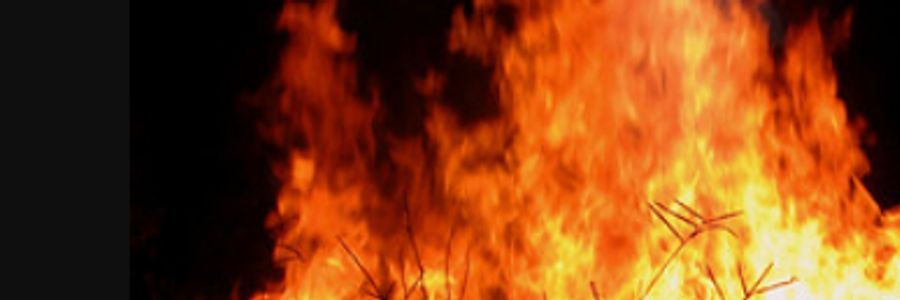 Cover image for post “Do not suffer…”, by Mariah