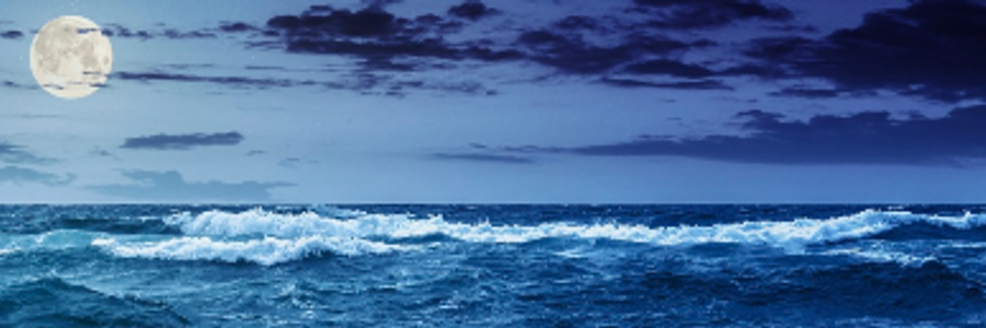 Cover image for post Waning Attention , by Mariah