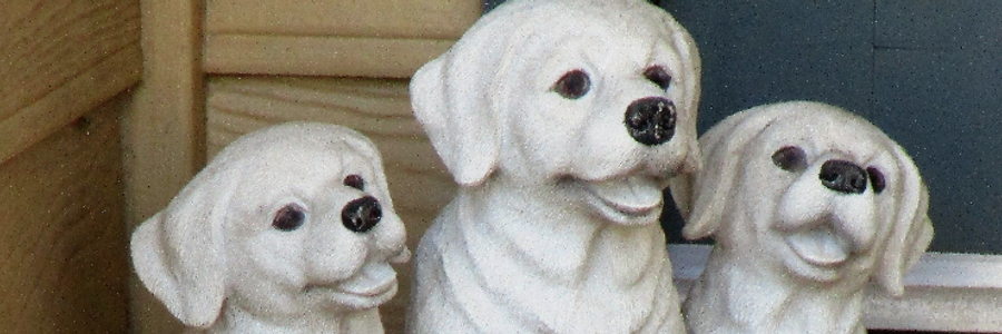 Cover image for post Thoughts 6, by JULIAK