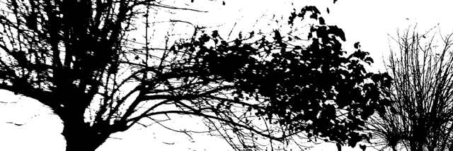 Cover image for post Excerpt, by InvisibleInk