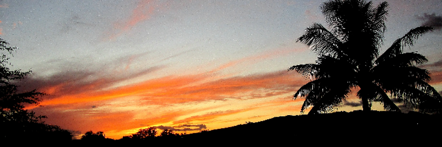 Cover image for post LIVE THE MOMENT, by JULIAK