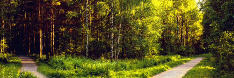 Cover image for post Give me MORE, by EmmaMith