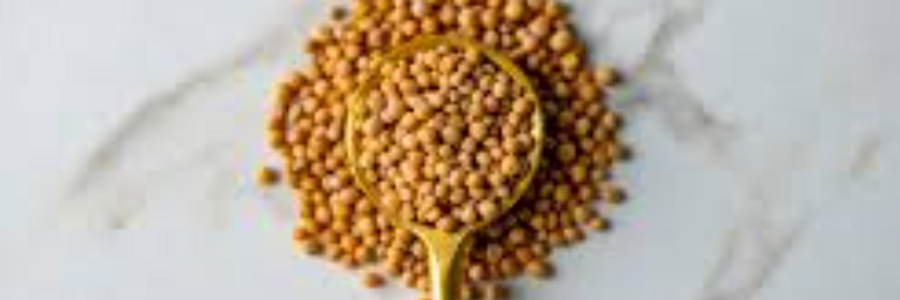 Cover image for post have faith!, by Plexiglassfruit