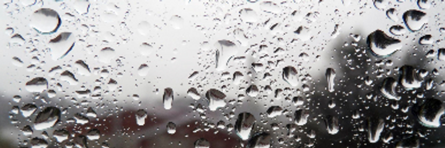 Cover image for post Not Present, by Mariah