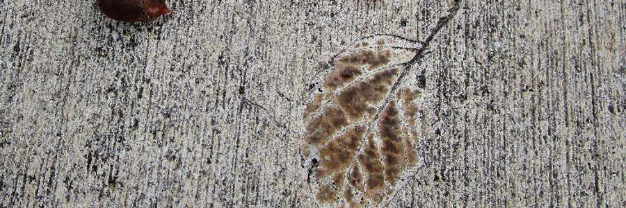 Cover image for post Adventurous Spirit 30, by JULIAK