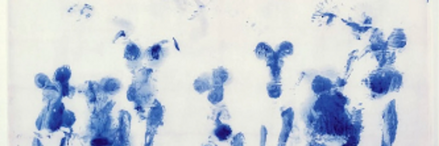 Cover image for post Degustando de tu hablar., by Fucsiaenpurpura