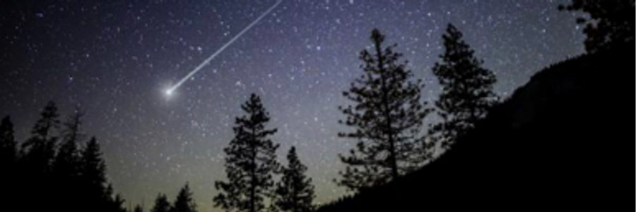 Cover image for post Disengaged, by Mariah