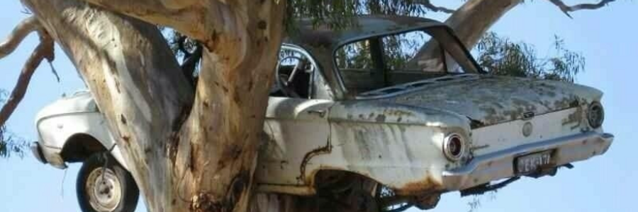 Cover image for post Wasted, by LARGE